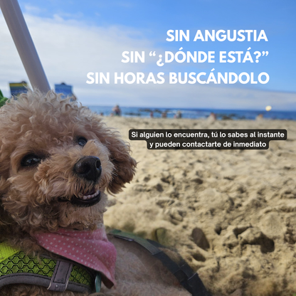 Pack Dúo Placas Inteligentes GPS pasivo Anti-perdida para mascotas - The Dog Spot