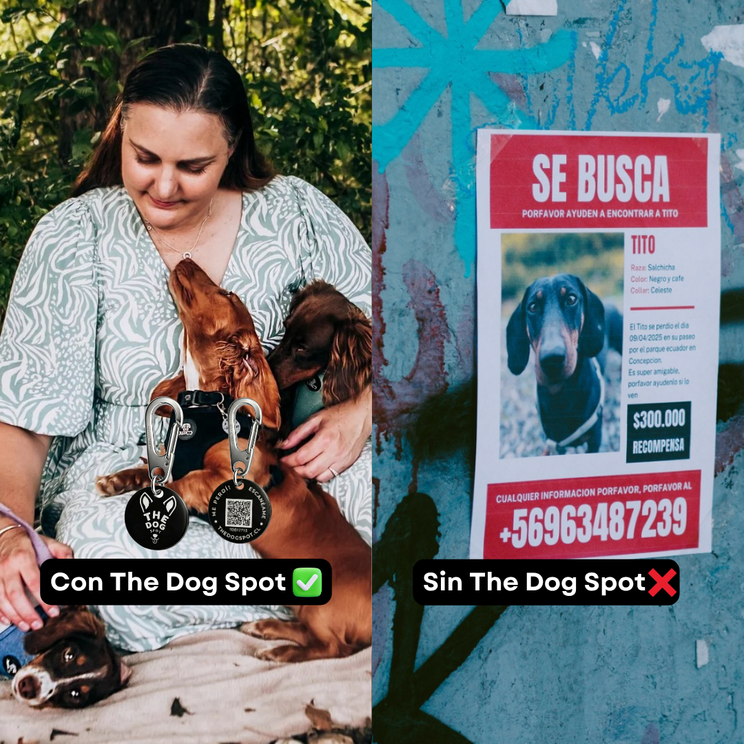 Pack Dúo Placas Inteligentes GPS pasivo Anti-perdida para mascotas - The Dog Spot